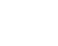 Landini